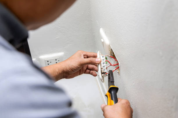 Best Electric Panel Repair  in Rancho San Diego, CA